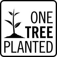 Tree to be Planted - BEACH BORN
